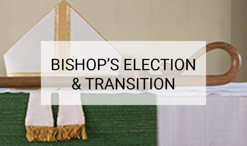 The Bishop's election and transition
